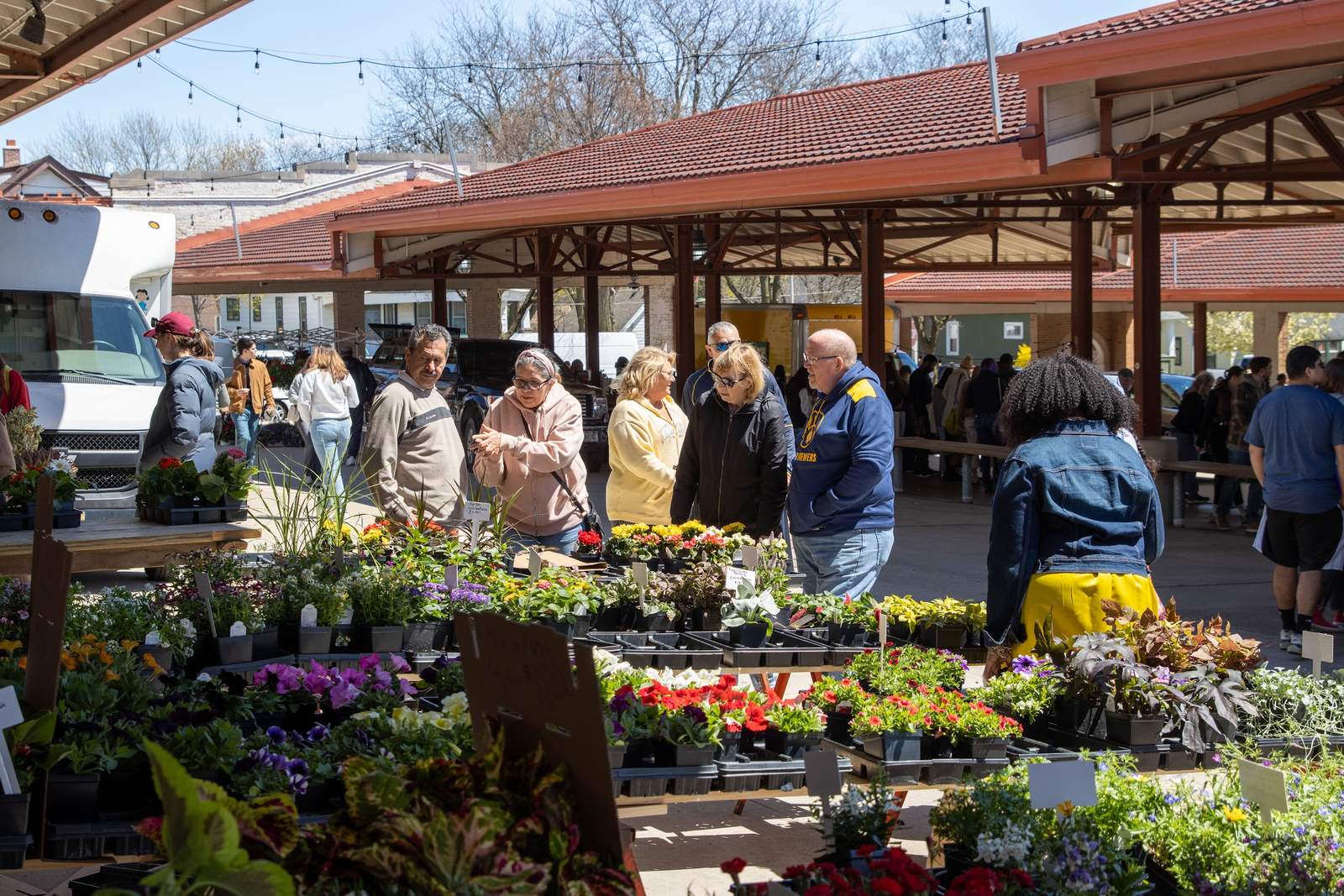 West Allis Farmers Market — photo 1