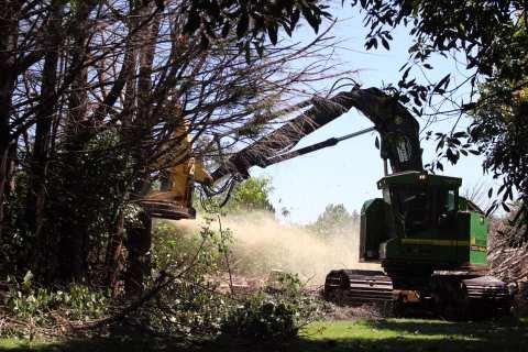 All Terrain Chipping - Orchard Removal & Tree Services — photo 2