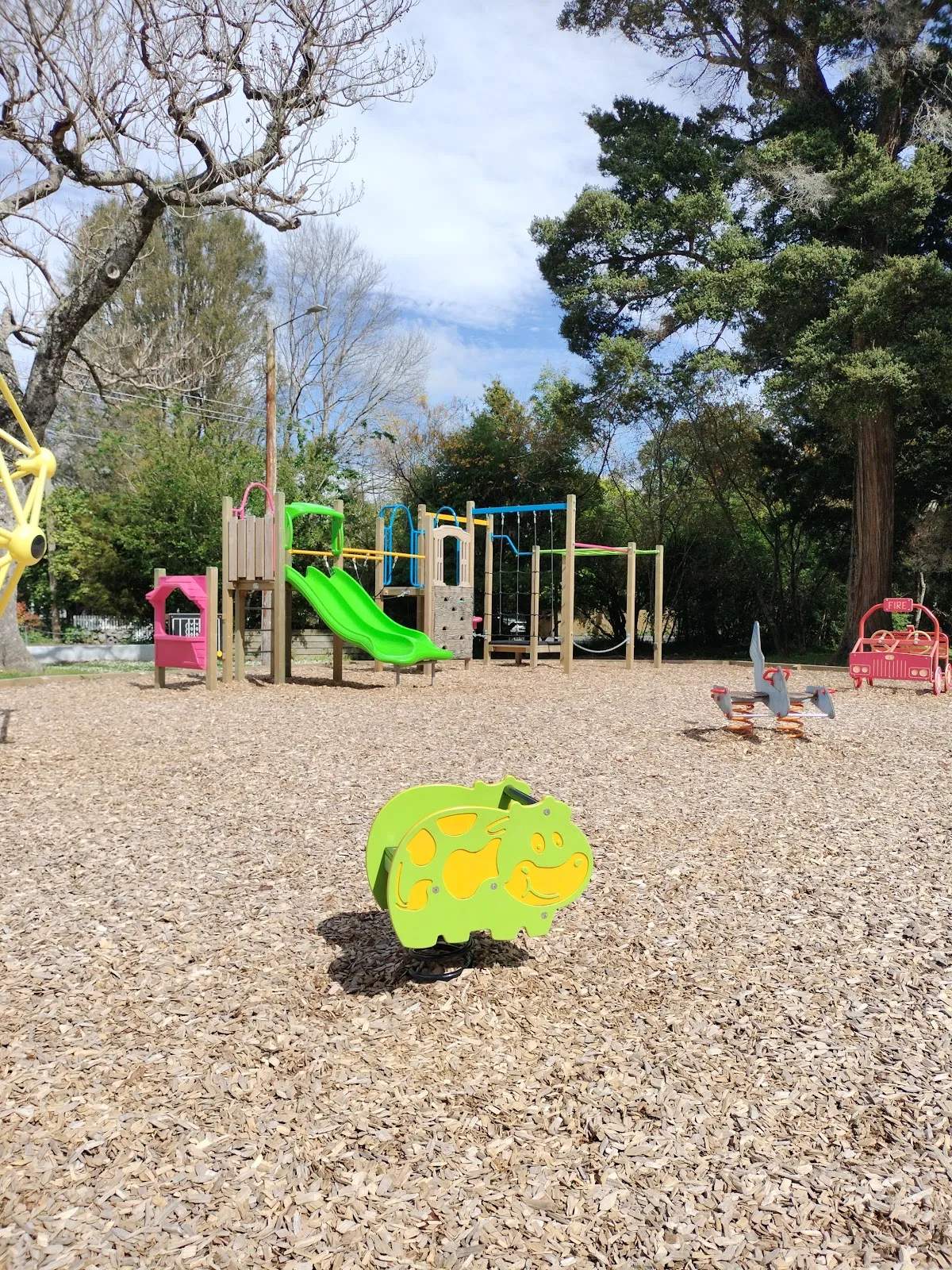 Greytown Playground — photo 1