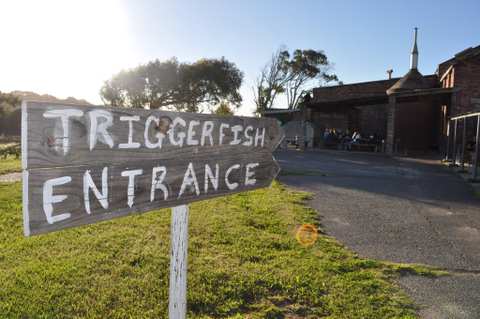 Triggerfish Brewing — photo 3