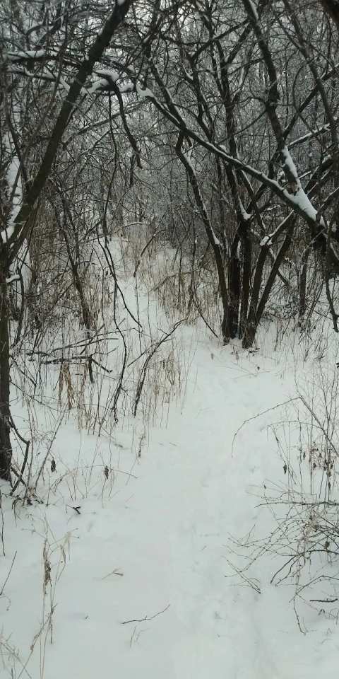 West Side Park — photo 5
