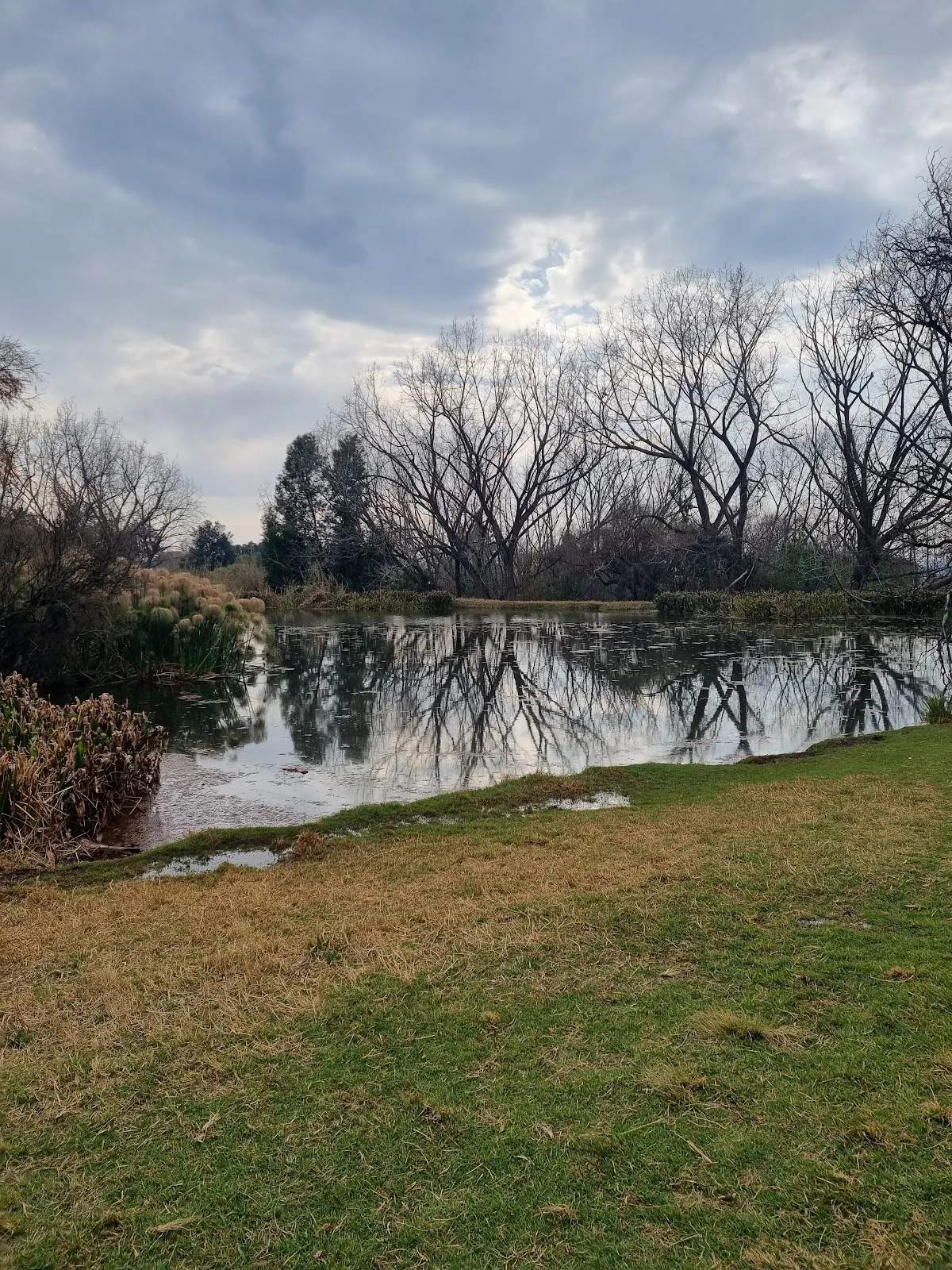 Camp Delta Scout grounds (Delta Parkrun) — photo 2