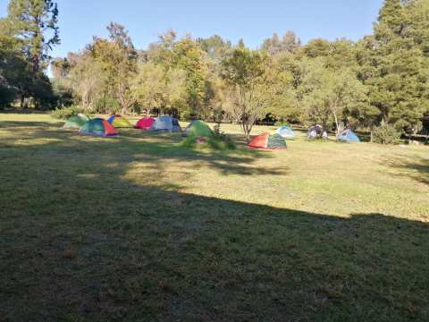 Camp Delta Scout grounds (Delta Parkrun) — photo 3
