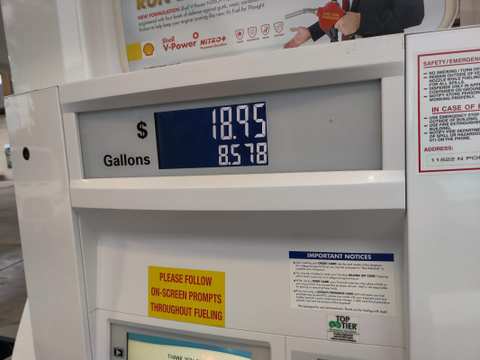 Shell — photo 5