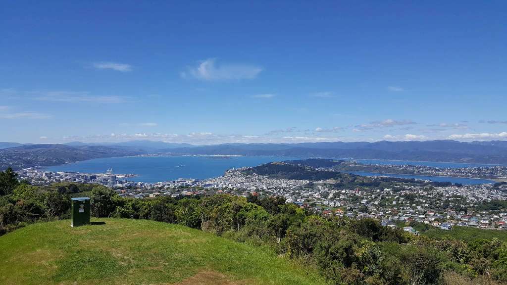 Terrace Counselling & Therapy