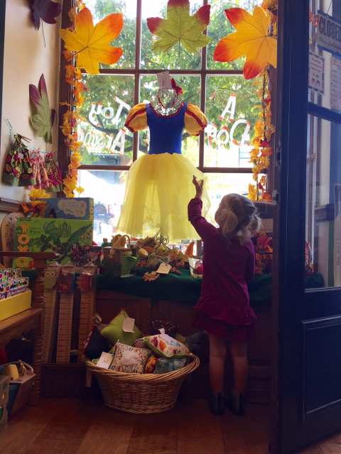 Cedarburg Toy Co. — photo 3