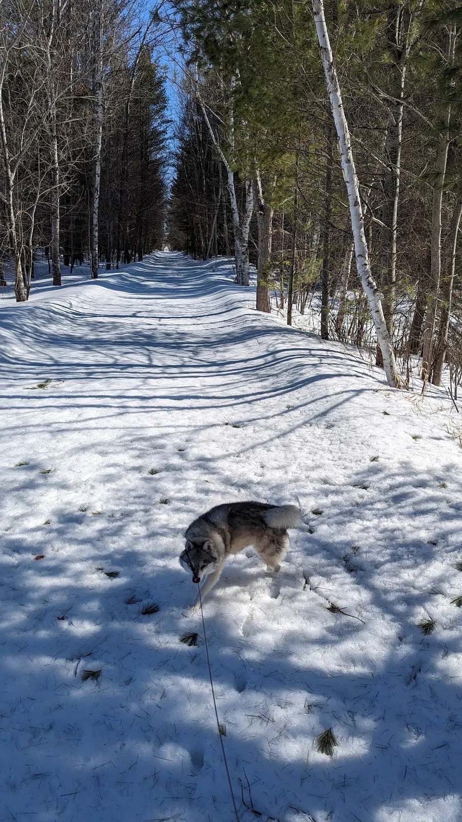Three Eagle Trail — photo 3