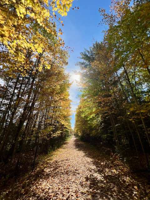 Three Eagle Trail — photo 2