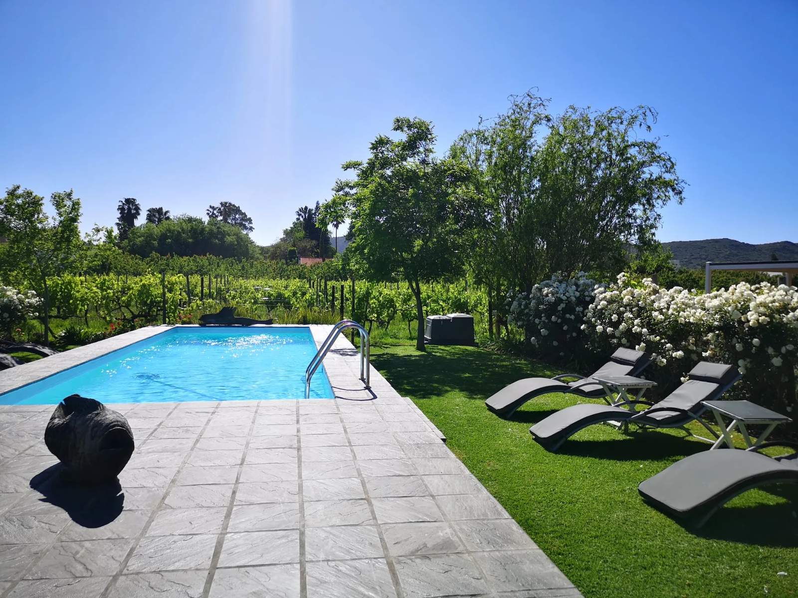 The Vineyard Country House — photo 3