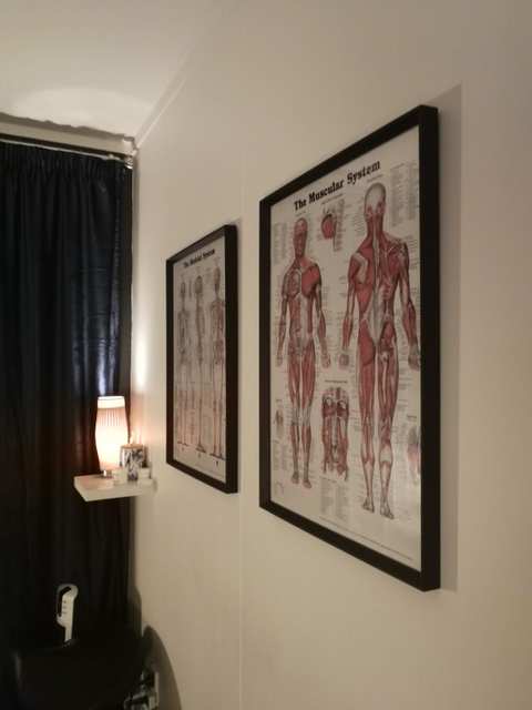 ProActive Massage — photo 4