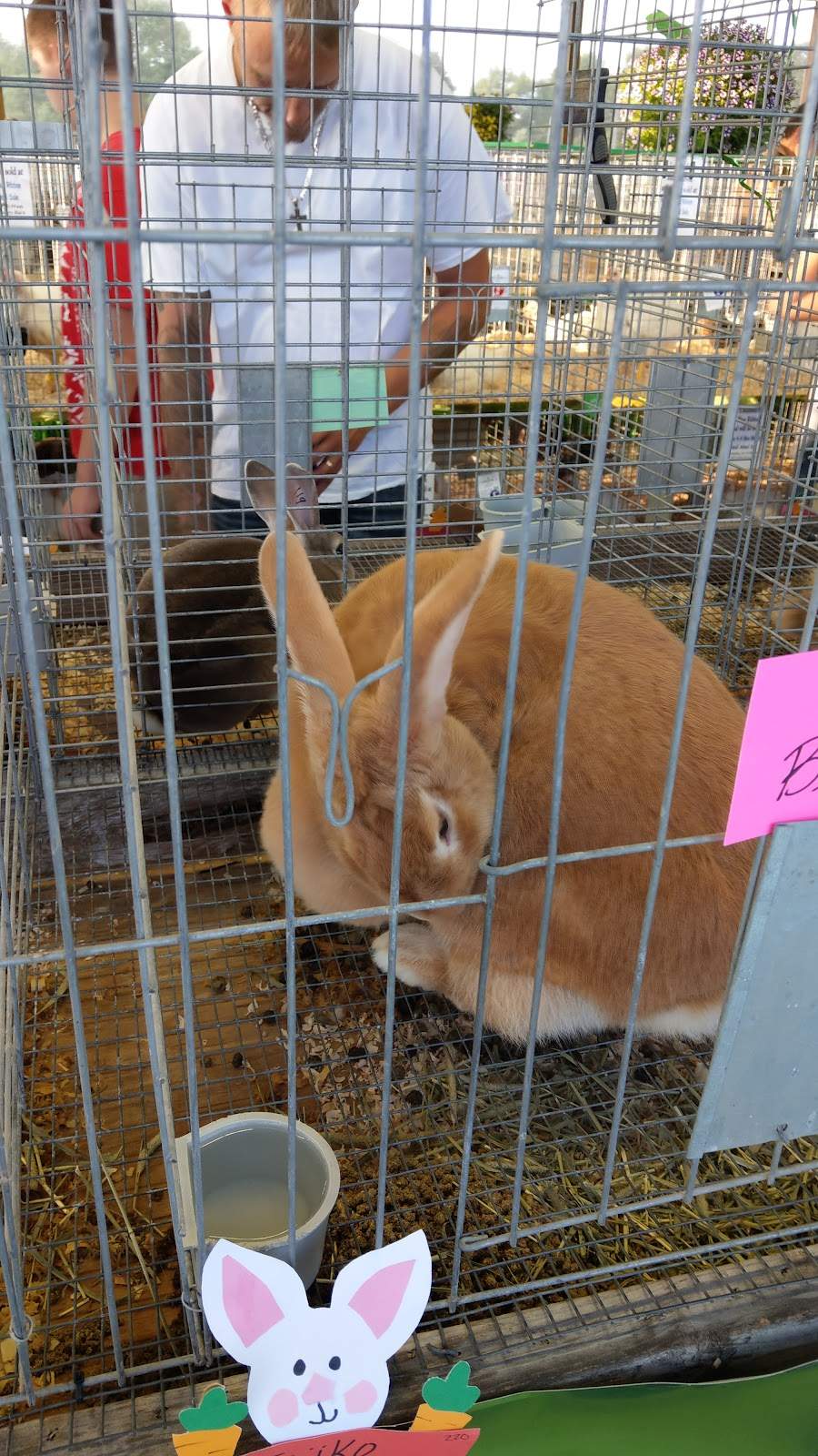 Ozaukee County Fairgrounds — photo 1