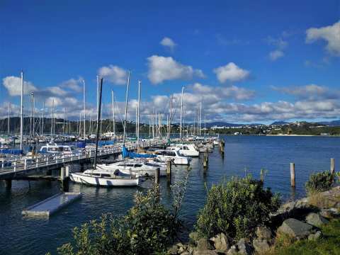 Evans Bay Marina Self Contained Camping — photo 2