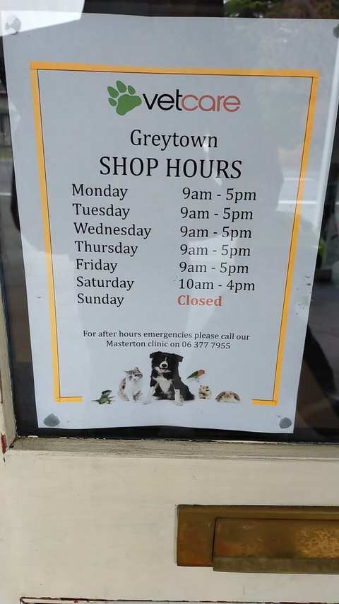 VetCare Veterinary Hospital — photo 4
