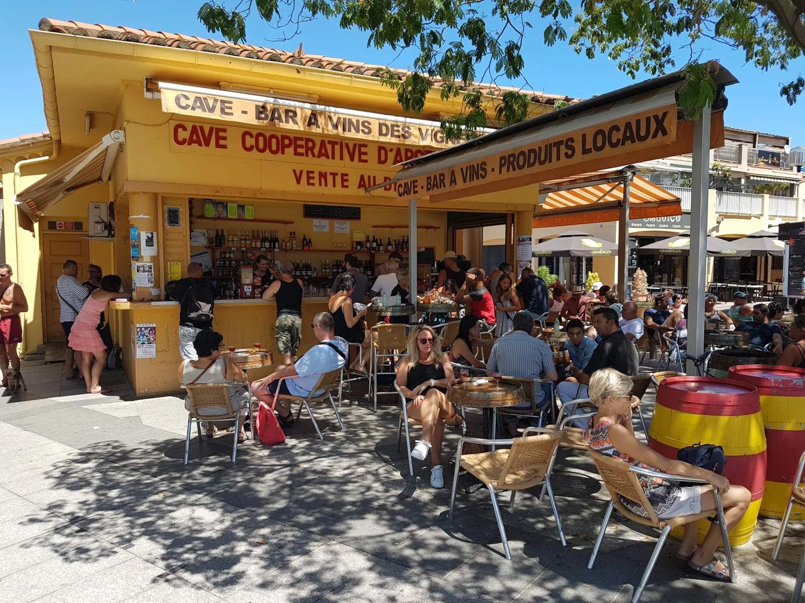 Les Vignerons D'argeles — photo 1