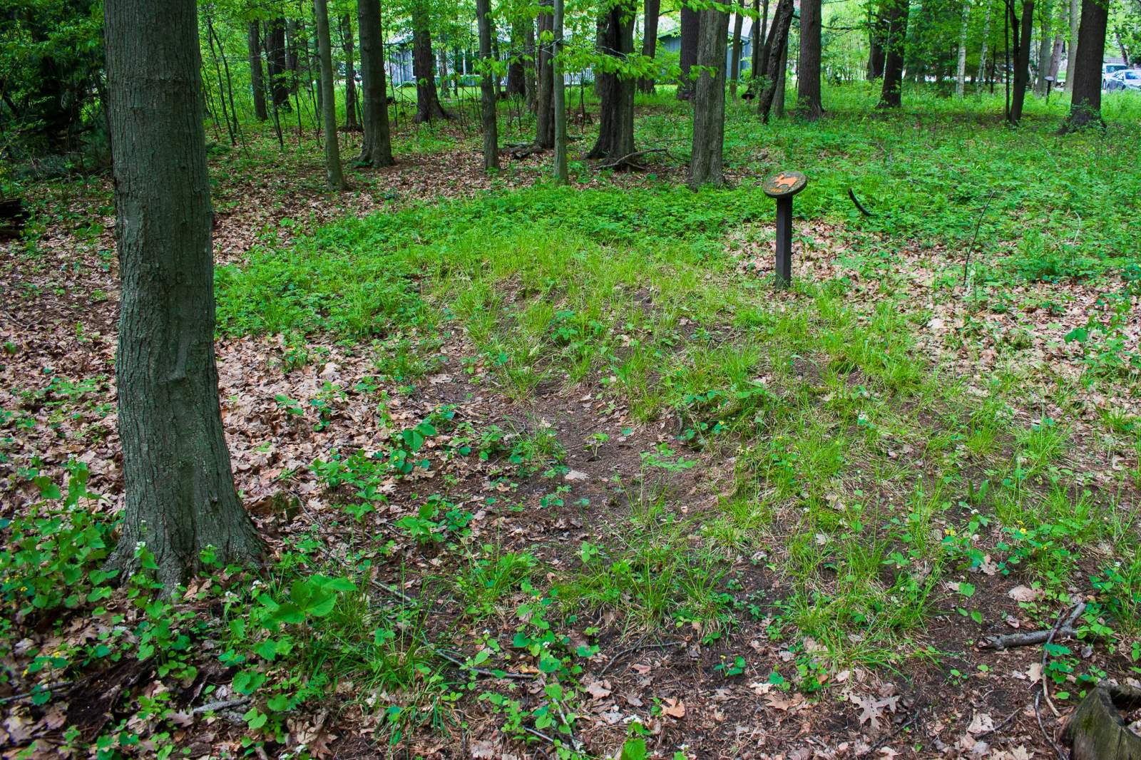 Sheboygan Indian Mound Park — photo 1