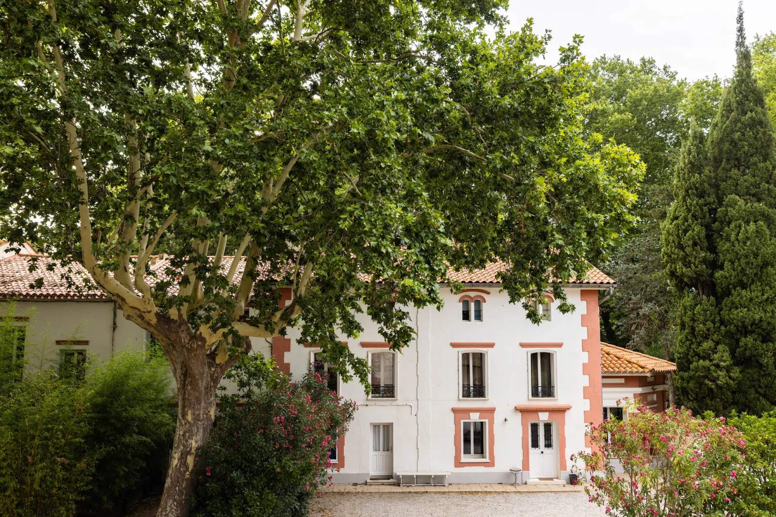 Castell de blés - Gîtes et chambres d'hôtes - Privatisation — photo 1