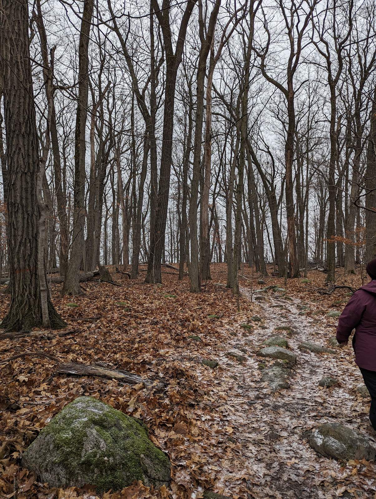 Ridge Run Park West — photo 3