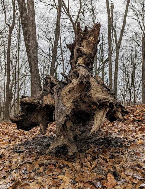 Ridge Run Park West — photo 5