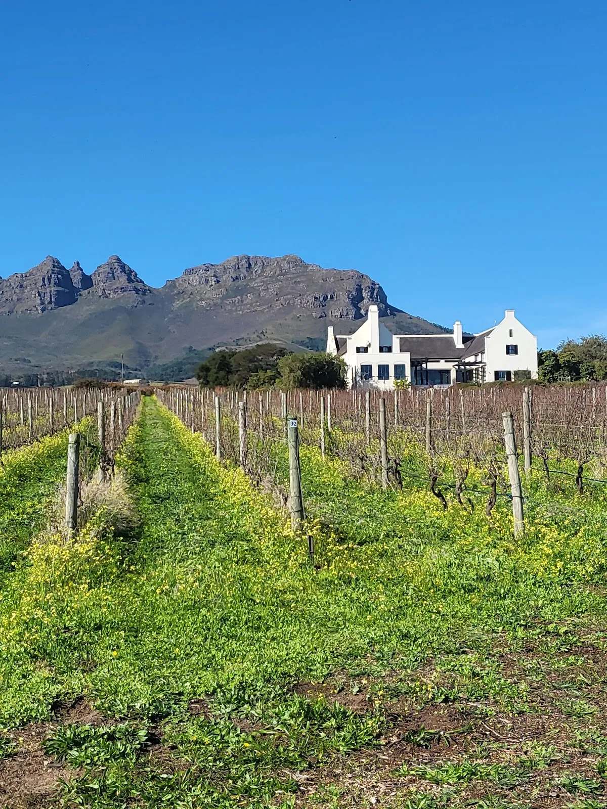 Stellenbosch wine tractor — photo 1