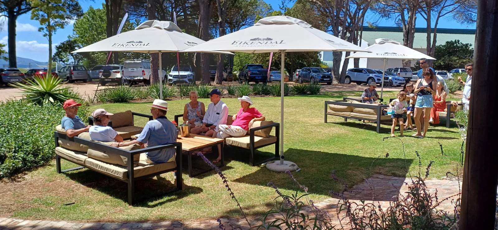 Stellenbosch wine tractor — photo 2