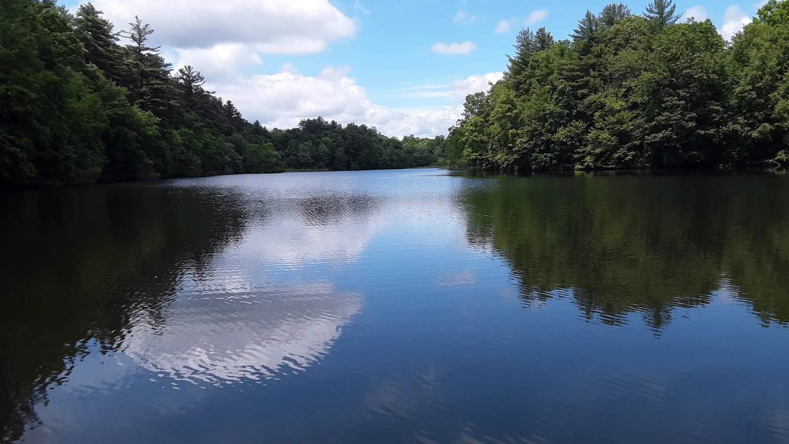 John Largay Preserve, Middlebury Land Trust — photo 1