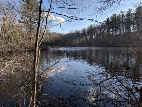 John Largay Preserve, Middlebury Land Trust — photo 3
