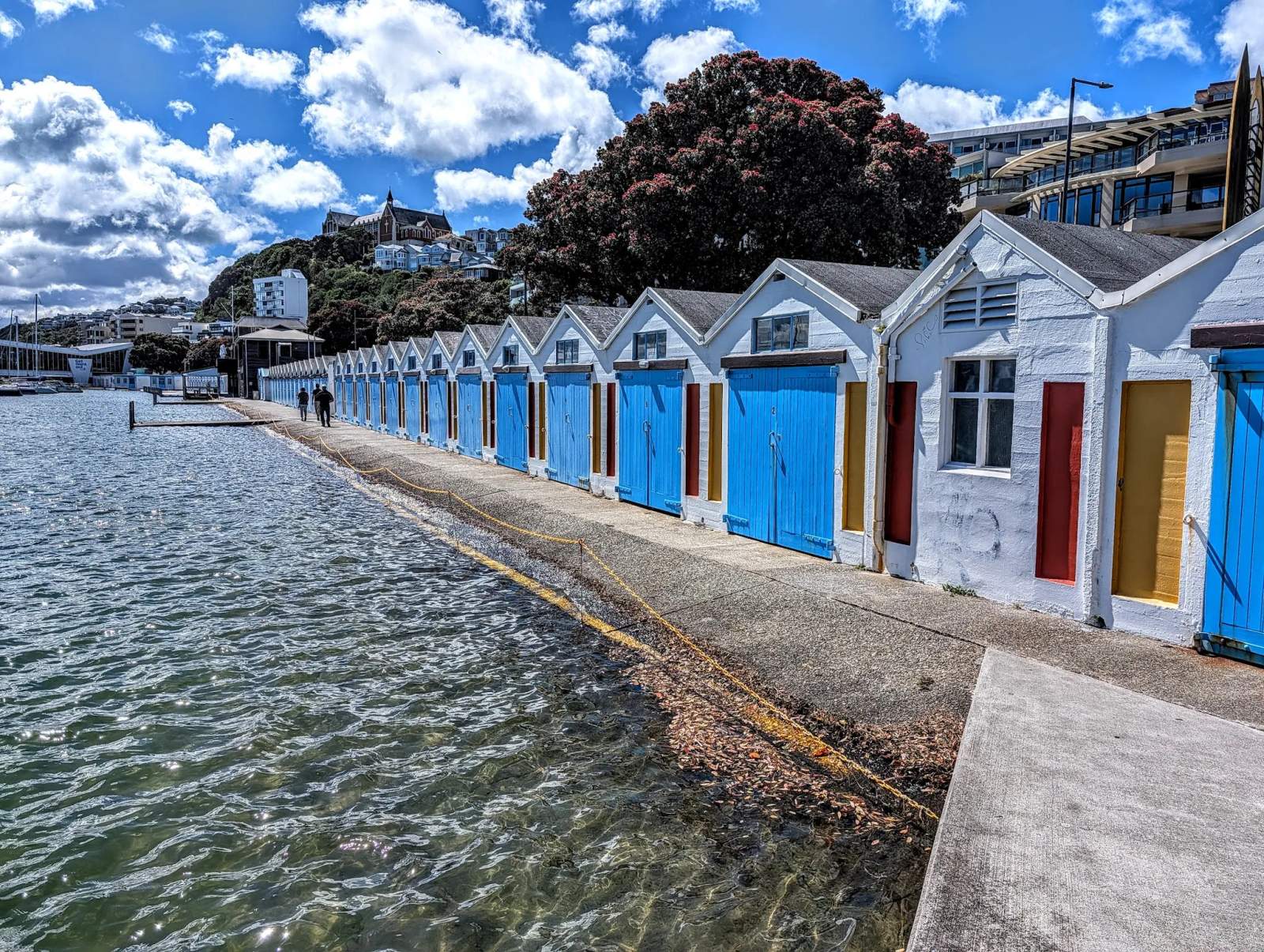 Waitangi Park — photo 2