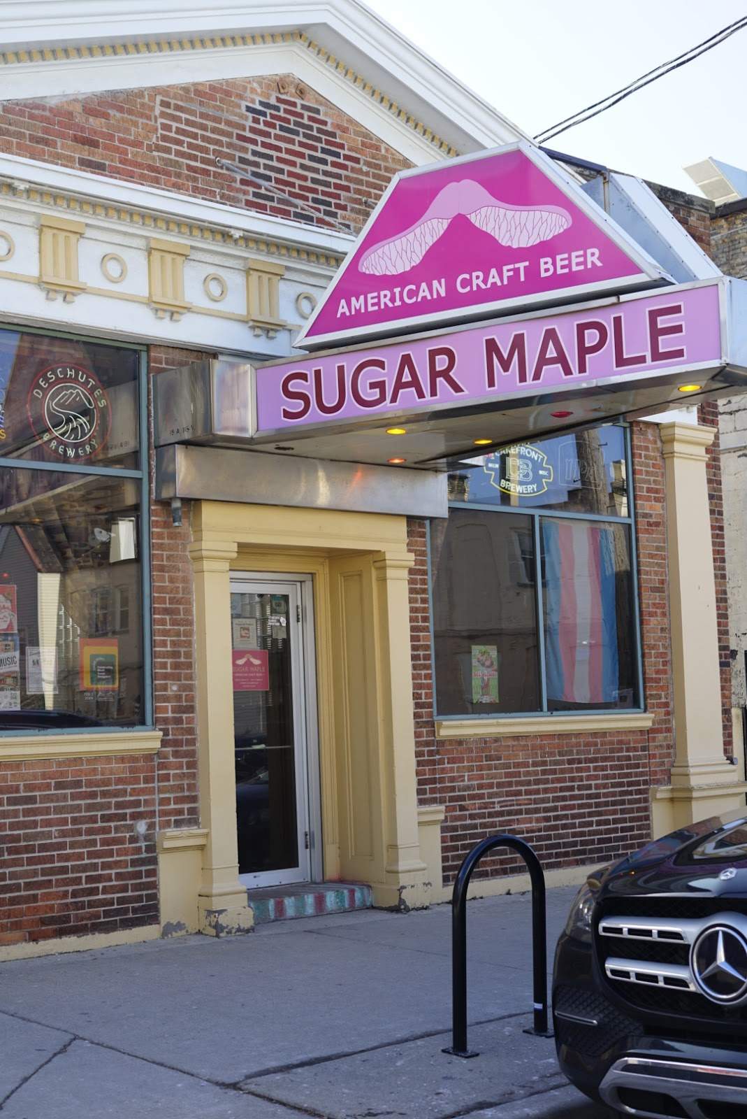 Sugar Maple — photo 1