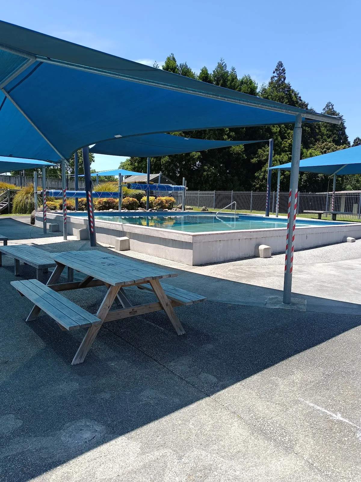 Splash Swim School Katikati — photo 3