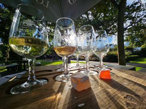 Lourensford Winery / Tasting Room — photo 2