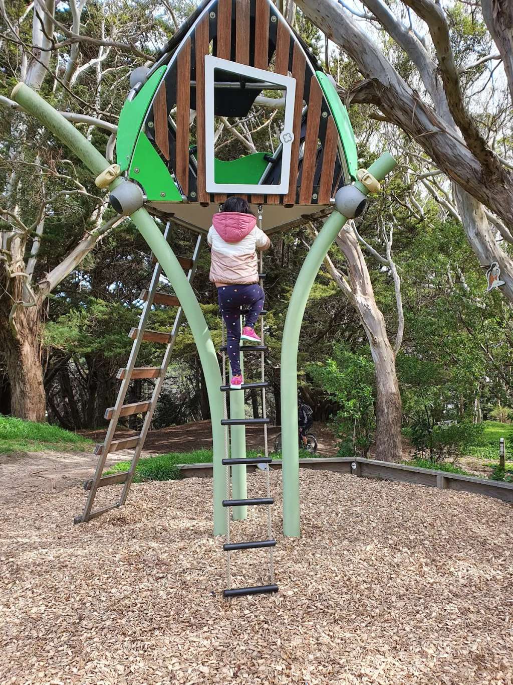 Matairangi Nature Trail - Tree House