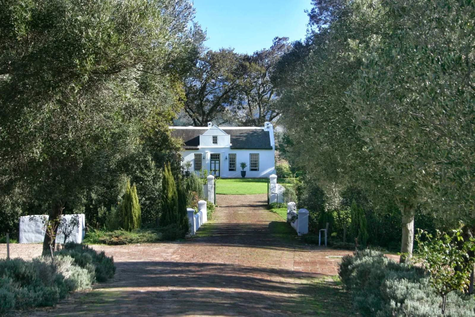 La Bri Wine Estate — photo 2