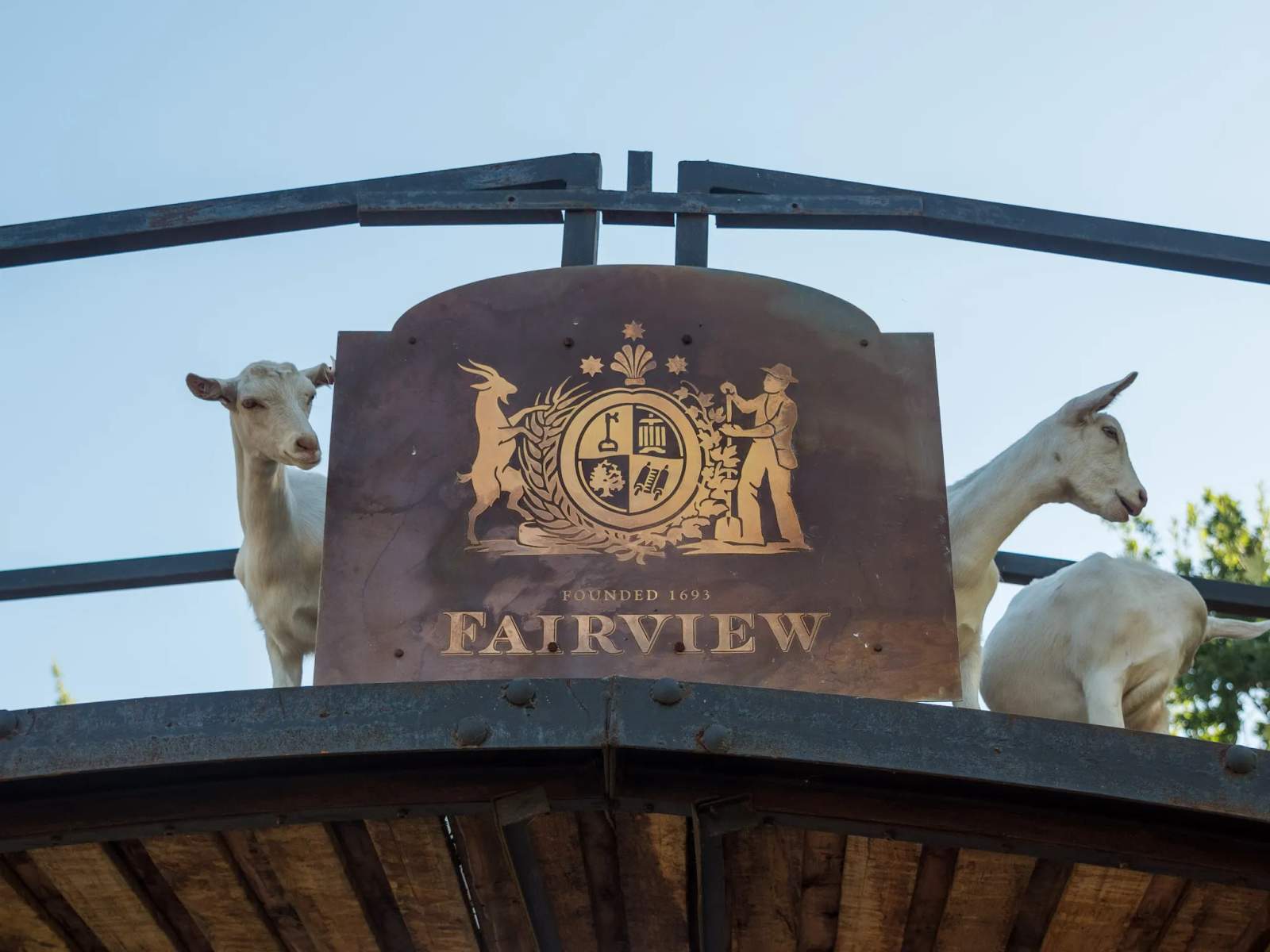 Fairview Wine and Cheese — photo 1