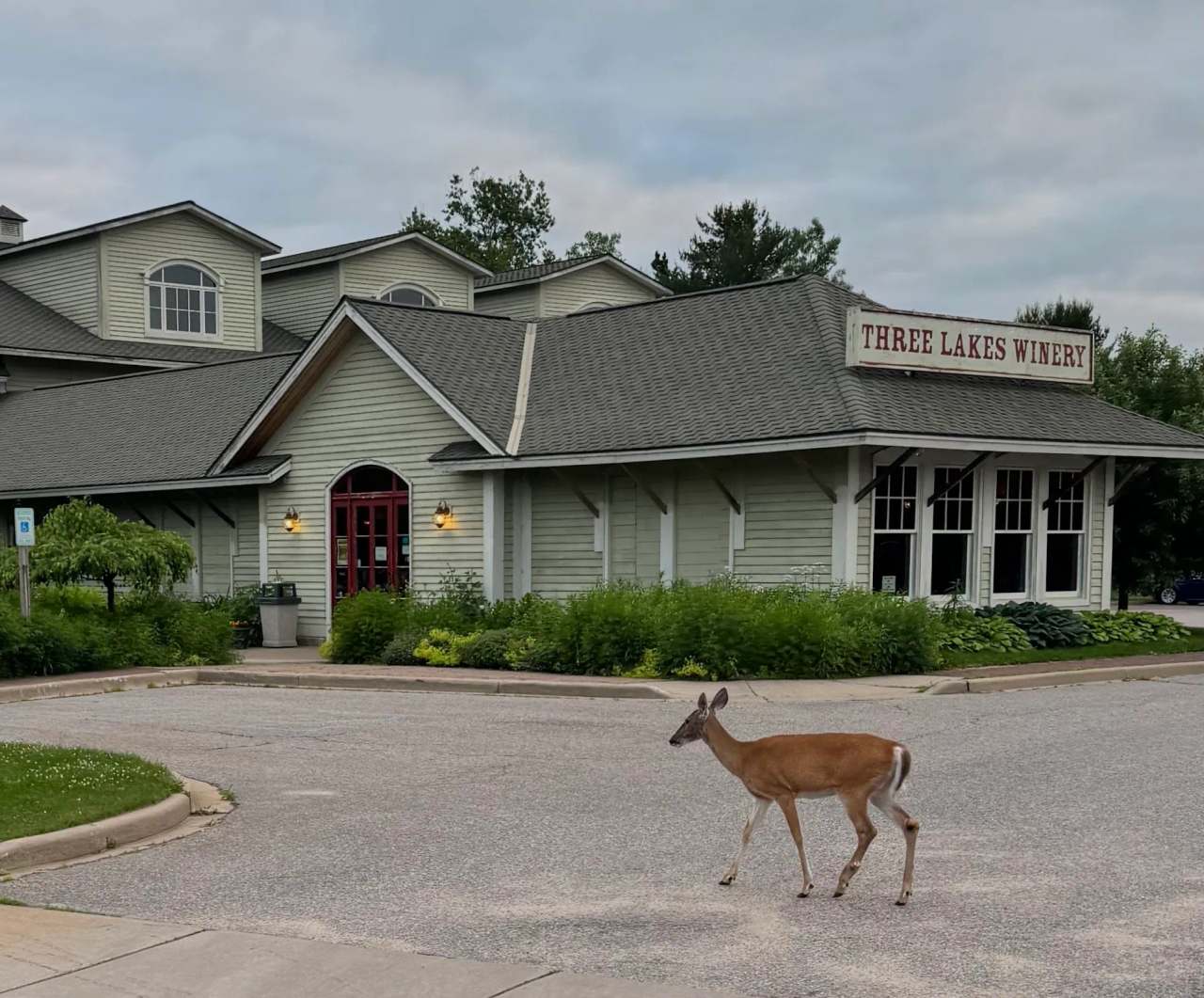 Three Lakes Winery — photo 2