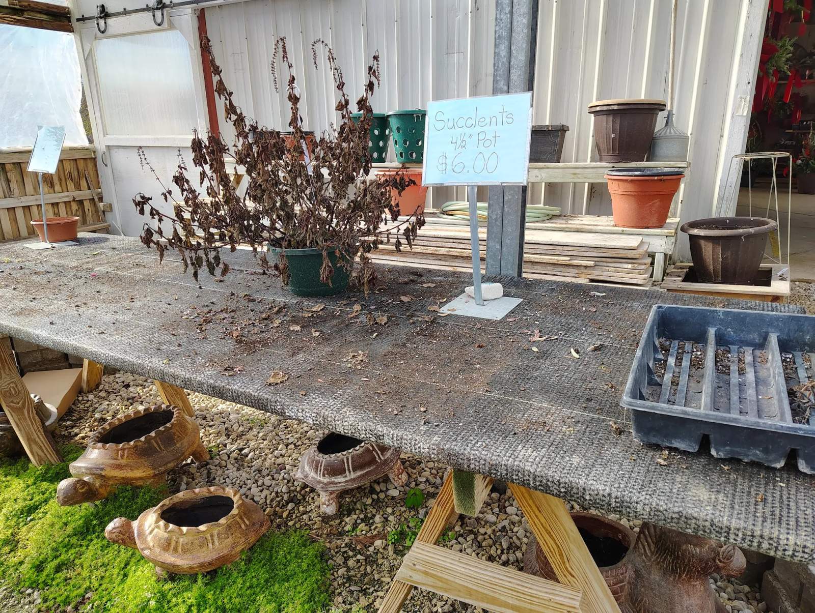 Bemis Upland Springs Floral — photo 1