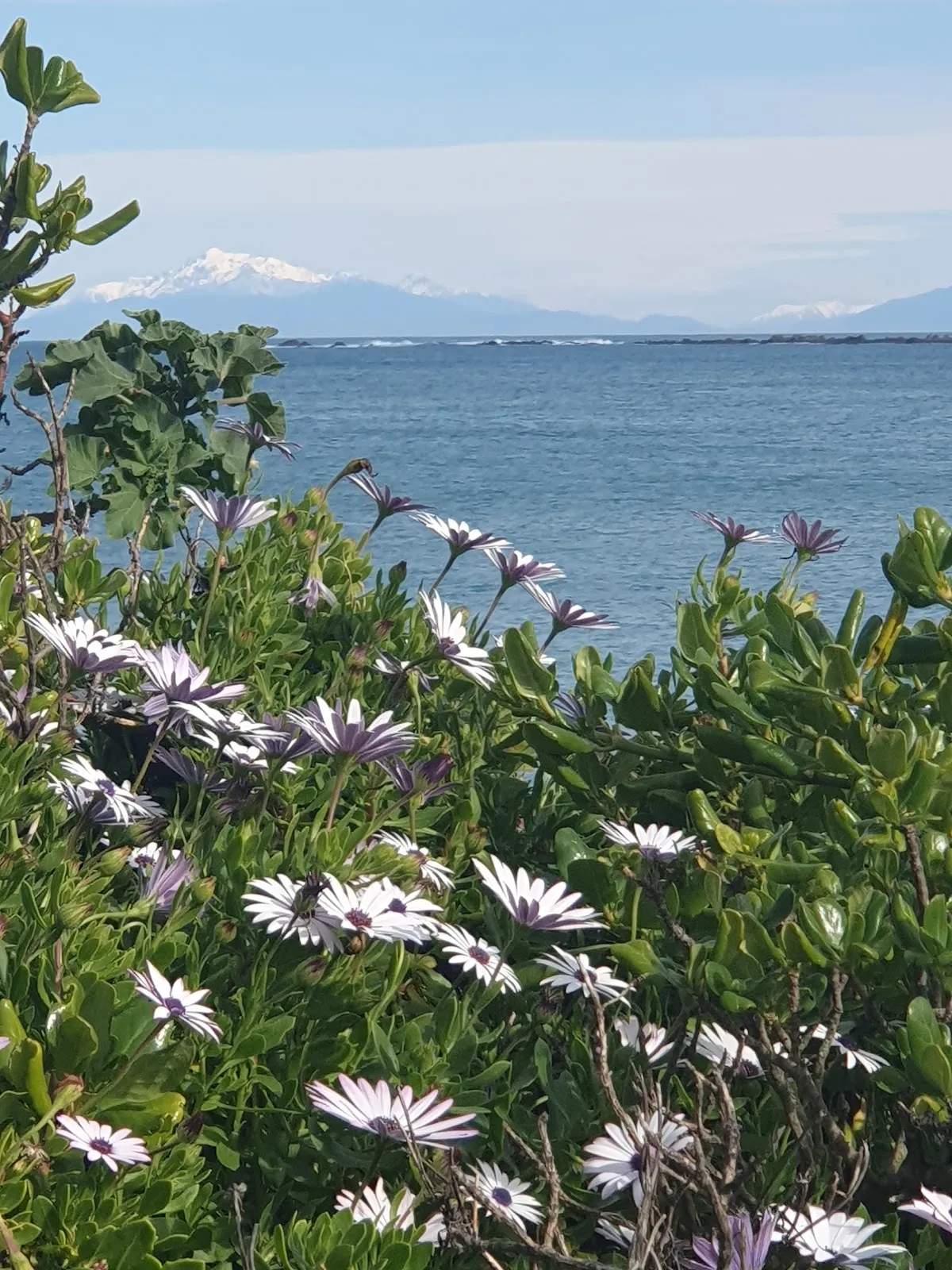 Moa Point Massage — photo 1