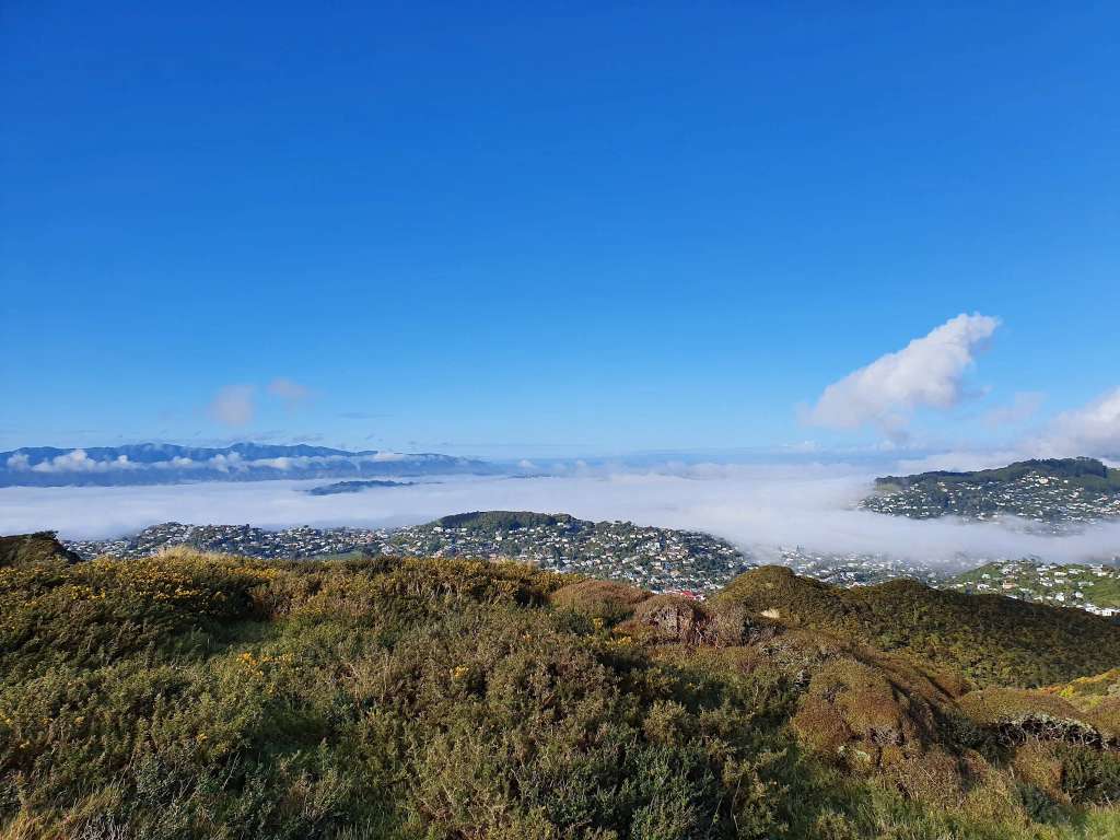 Northern Walkway trailhead - Johnsonville