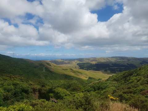 Northern Walkway trailhead - Johnsonville — photo 2