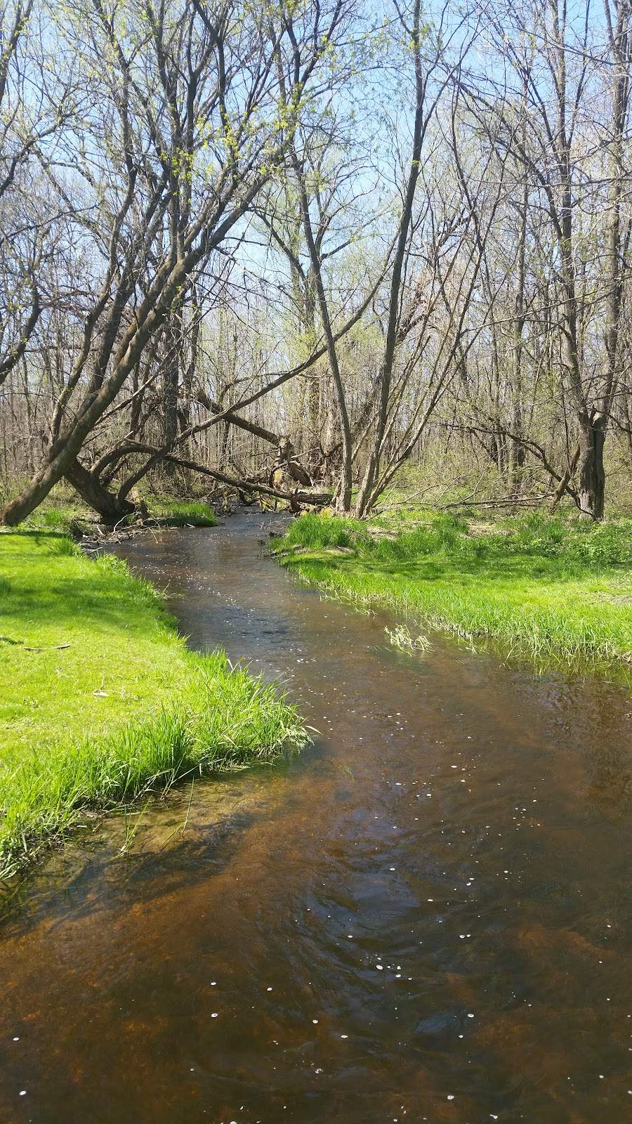 Richfield Nature Park — photo 1