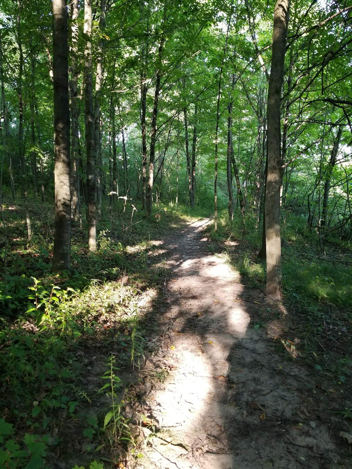 Richfield Nature Park — photo 4