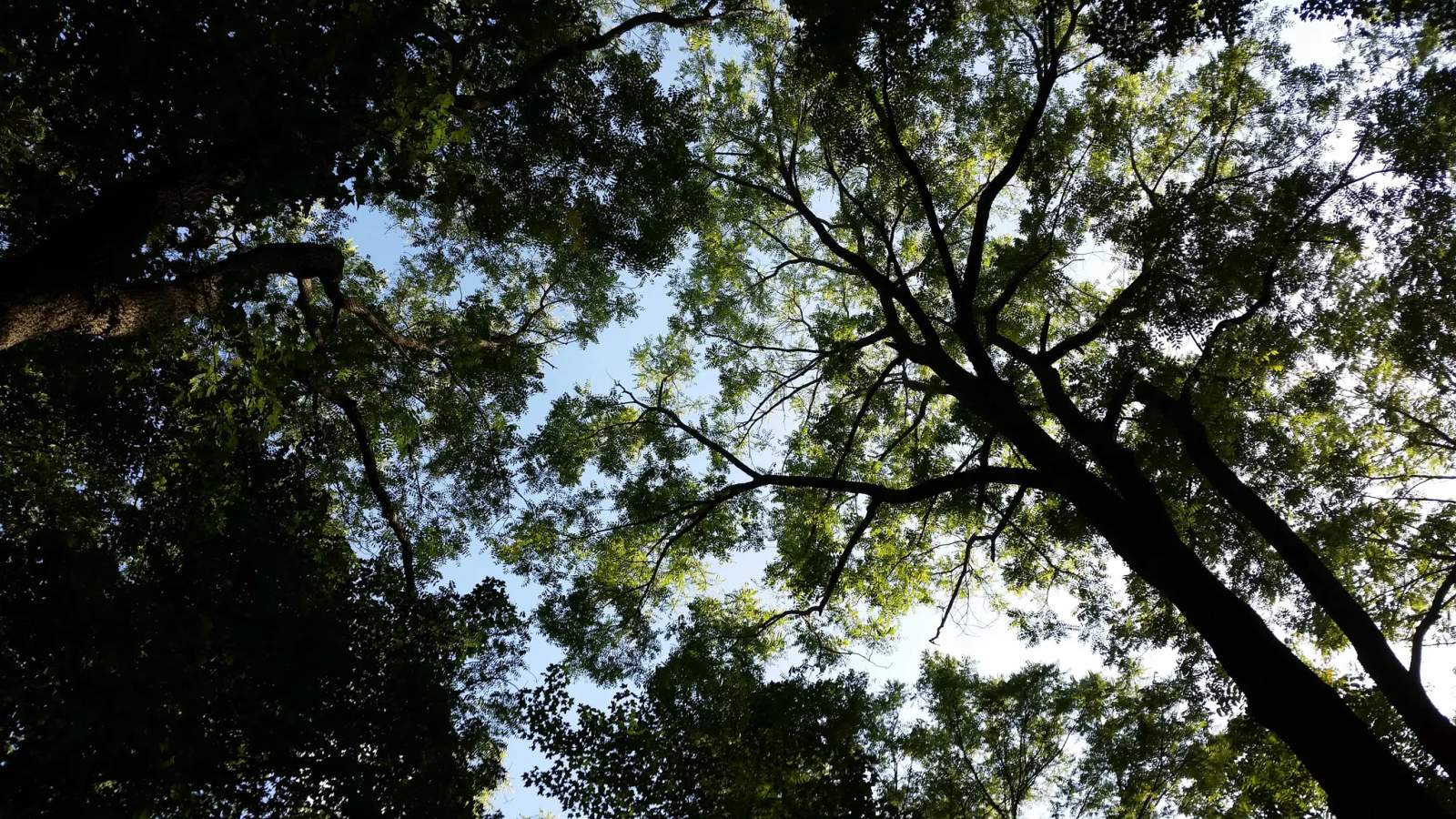Equi-Tree Farm — photo 1