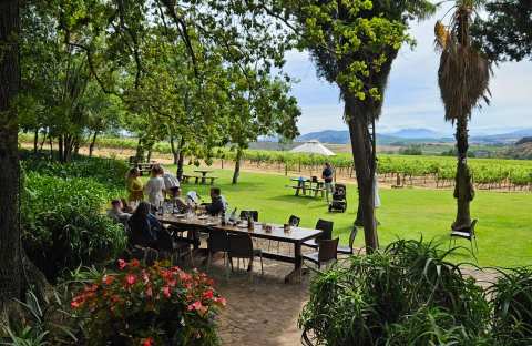 Muratie Wine Estate — photo 4