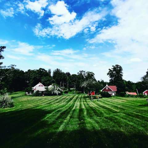 Leviathan Lawn Care — photo 3