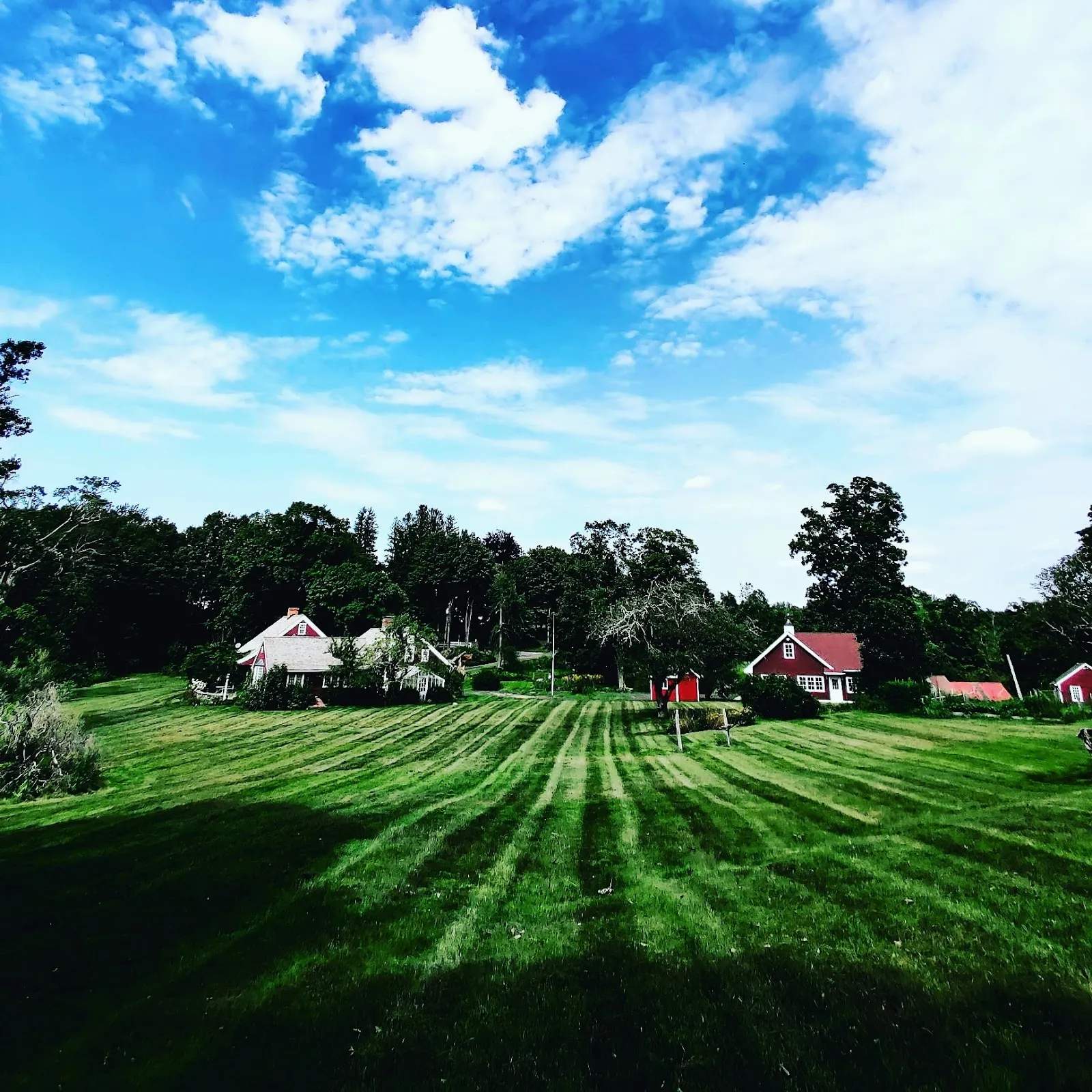 Leviathan Lawn Care — photo 3