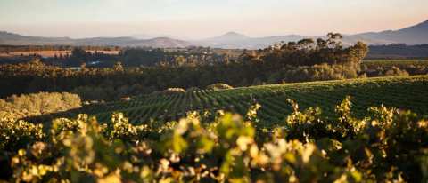 Wine Escapes Exclusive Wine Tours — photo 2