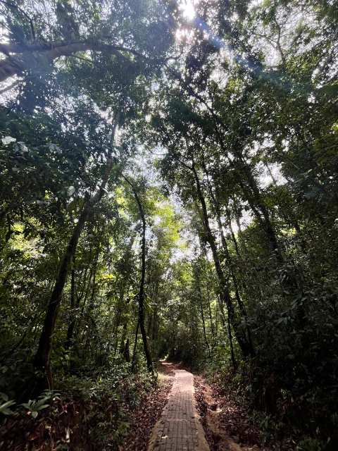 Khlong Chao Waterfall — photo 4