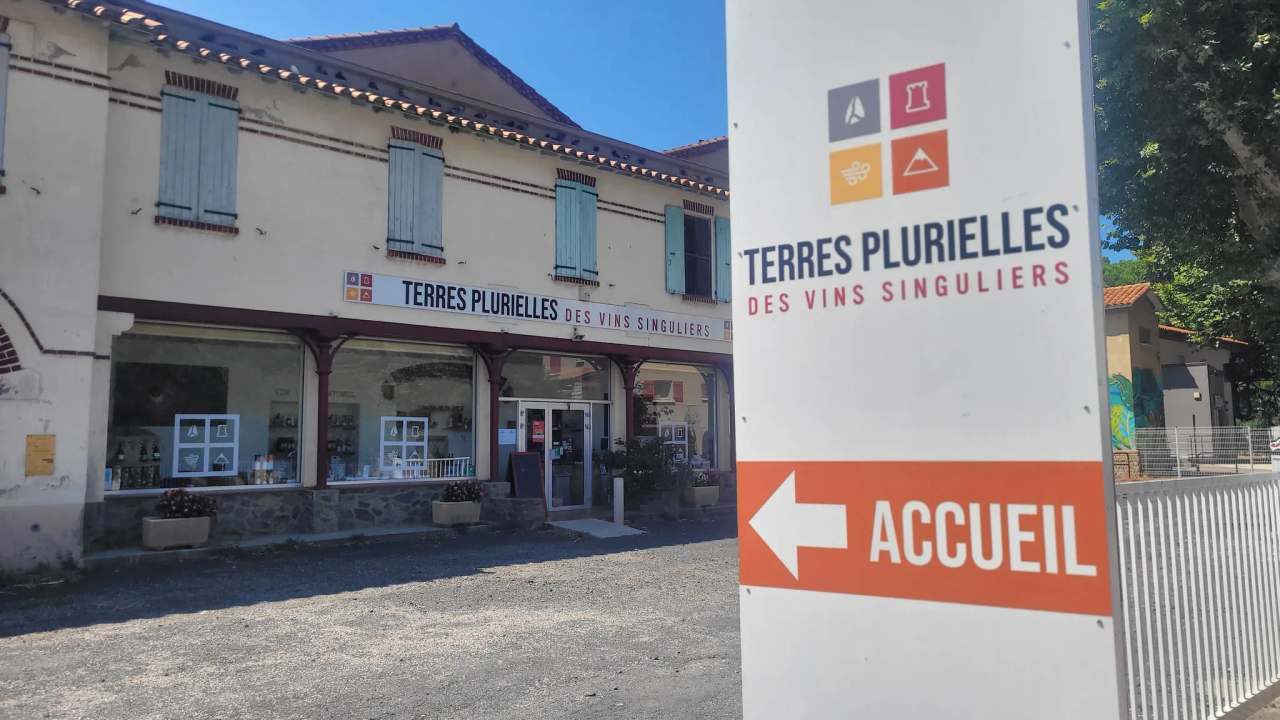 Terres Plurielles - Cave de Latour-de-France — photo 1