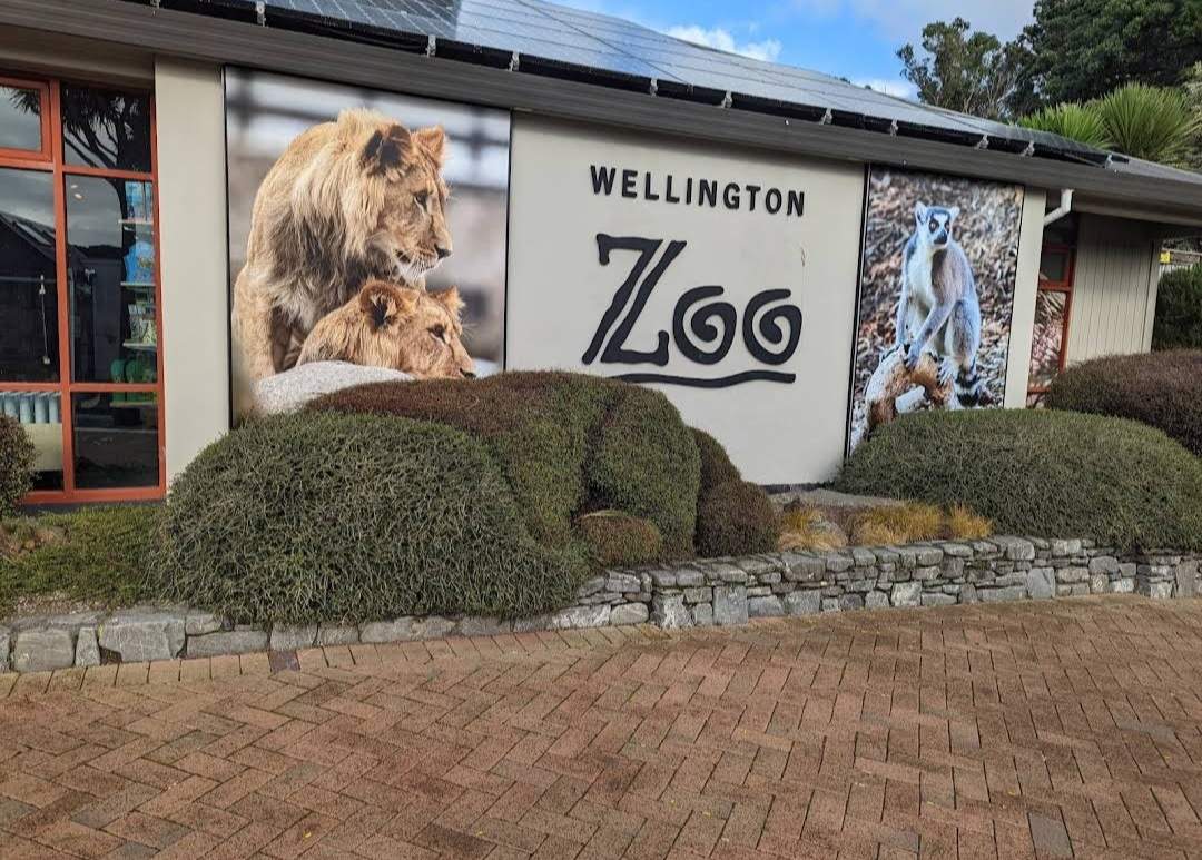 Wellington Zoo — photo 2