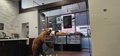 Bear & Bean — photo 3