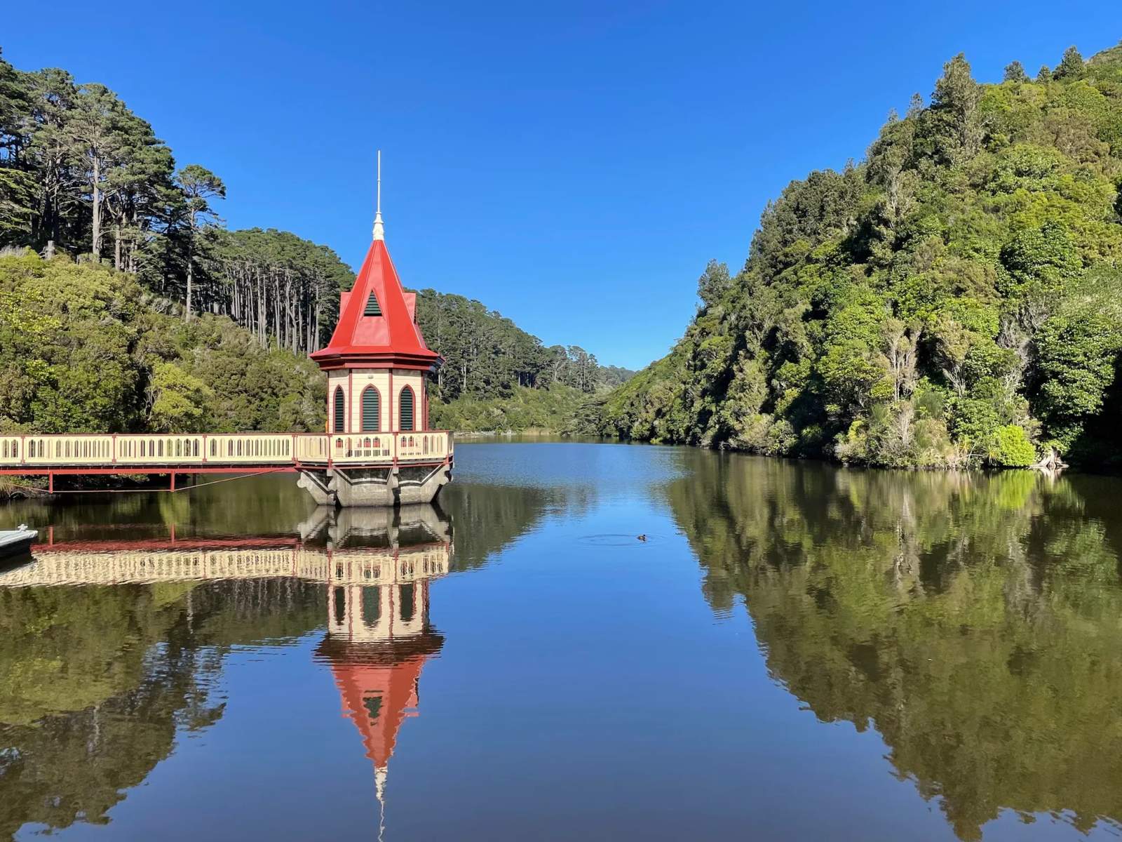 Zealandia Te Māra a Tāne — photo 1